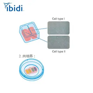 ����ʵ�� �˿�����2�ײ�� 80209 2D��Ϯ�͹������¹�ibidi
