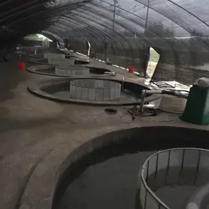 清远市清城区港兴水产养殖场