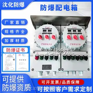 Exde IICT6Gb防爆照明动力配电箱 仪表智能温控箱 电源插座箱