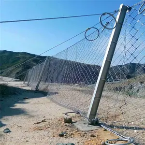 �������������Ա��»�������˿����ɽ����·��������������»���
