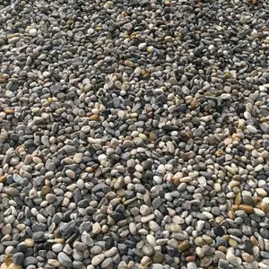 精抛鹅卵石 鹅卵石滤料 量大优惠