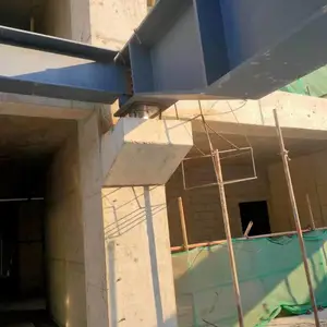 ������֧������ԭ��