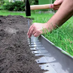 �����L�͸����