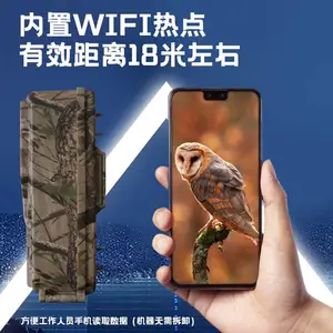 ���˺���ʱ¼Ӱ�������ȫ������ʱ���ս���ֲ��۲��¼�Ǻ���������