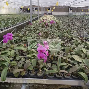�����紲��-��п�紲��-��������湩Ӧ-�����紲ũҵ