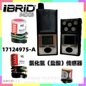英思科iBRiD MX6-0000A211氯化氢(盐酸)气体检测仪17124975-A氯化氢传感器
