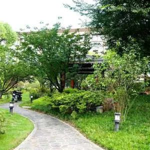 苏州公路绿化施工改建哪里有 客户至上 宜兴市龙崎园林绿化工程供应