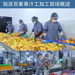 百香果原汁加工生产线/百香果籽油加工设备/百香果脯加工生产线