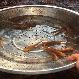 �н���ͷ�� ��ɫ������***