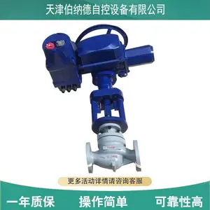 伯纳德ST14/23+VE100S/4电子式阀门装置