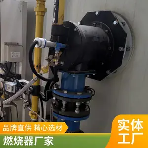岱鼎燃烧 烤漆烘干房RTO炉裂解气生物质气天然气燃烧机源头厂家