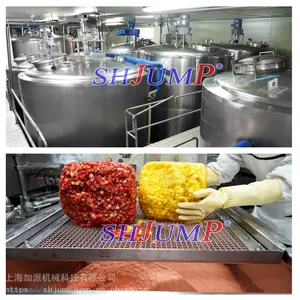 冰淇淋调配生产线 水果冰淇淋加工设备 乳制品加工设备 大袋冰淇淋加工设备