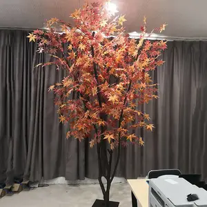 ���������㼦צ�� �������֦Ҷ�辰 �����������������װ��
