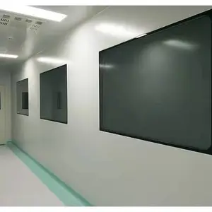 双层中空观察窗无尘净化车间洁净室实验室成品钢化玻璃固定窗定制