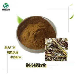 荆芥粉 植物提取原料 速溶浓缩 比例提取 长期供应