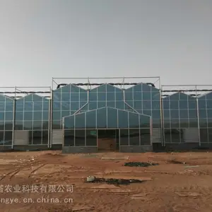 远程控制玻璃温室大棚 远程控制温室大棚 智能玻璃温室 贝塔农业