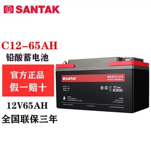深圳山特(SANTAK)C12-65 蓄电池