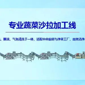 餐饮连锁连线式洗菜机价格 广州市天烨食品机械供应