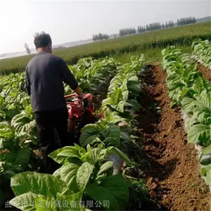 ũ��С�Ϳ����� �ڽ�����¢�� �ִ���⹵������