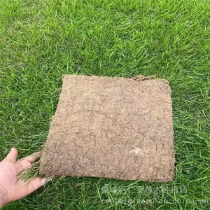 ���� ���޼���ƺ �� �ղ�Ƥ ��Ҷ���� ���� �챳��