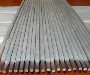 Ni307A��������