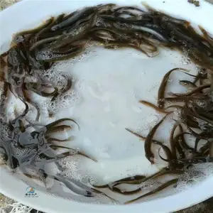 �������Ǹ���̨̬�������� �߲��������� ��������
