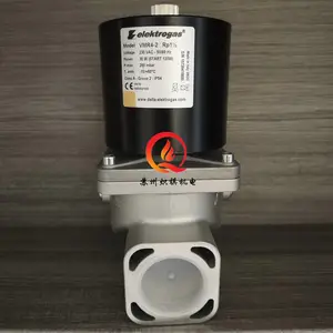 Elektrogas�����������˹��ŷ�VMR6-2ȼ�����