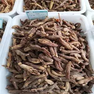 无糖红参个一斤 红参个厂家无硫干品整个和切片名贵药材