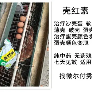 鸡增加蛋壳厚度中药添加剂来解决生产厂家