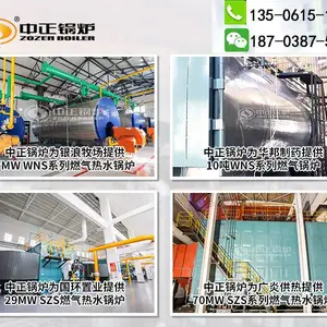 西北10吨秸秆生物质锅炉
