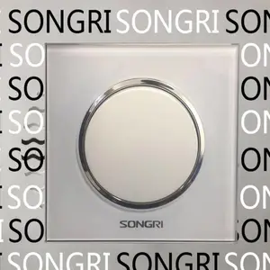 SONGRI一开单双控开关250V 16A European Standa欧洲标准墙壁开关单联