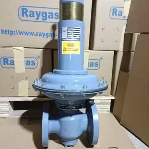 中低压燃气调压器 RMN调压器 不锈钢材质 RAYGAS