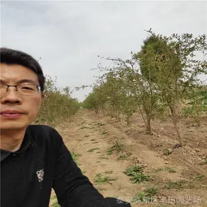 5����ʯ������Ʒ�ֽ��� ����***����ʯ���� ����