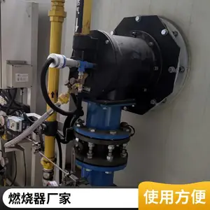 岱鼎燃烧 拉幅定型机烘箱天然气燃烧机 燃气燃烧器源头厂家
