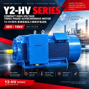 铸铁高压三相电动机Y2-HV 355-2-200KW 6KV中达电机ZODA