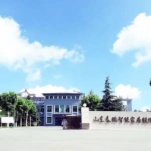 山东泰鹏智能家居股份有限公司