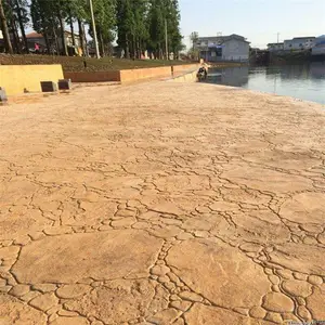 �Ž�������ѹ����ƺ�������е�������ש��