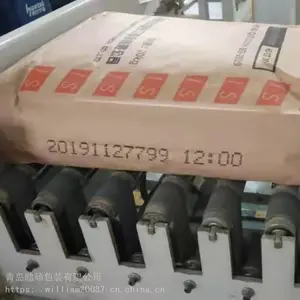 牛皮纸包装袋子上打生产日期的打码机器设备_励硕LS-D07流水线生产日期喷码机打码机设备