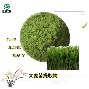 麦苗提取物 现货批发麦苗汁粉 膳食纤维固体饮料 水溶性粉末