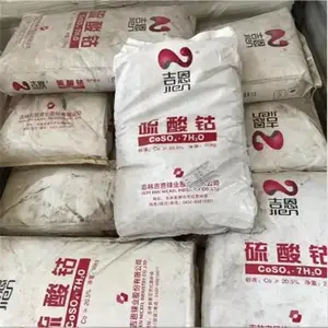 ��֦�������Ҷ��������� ��������� �չ�������������