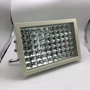 ZL8921-40w50w60wLED防爆泛光灯