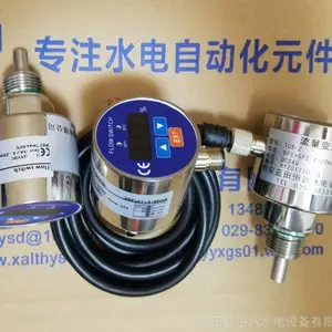 水电厂流量开关HN-L1G115-FD定制、流量控制器HN-L2G140-FA现货