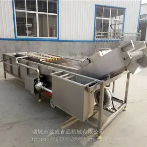 菌菇清洗机 香菇清洗机厂家