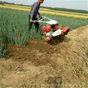 ʡ�˹������ڹ��� ��Ǿ�˫�渲���� ��ʥ������