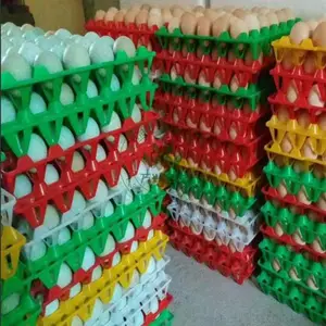 30ö���� �������൰�� ��ˤѼ���� �������ϵ��� ���ж���Ǯ