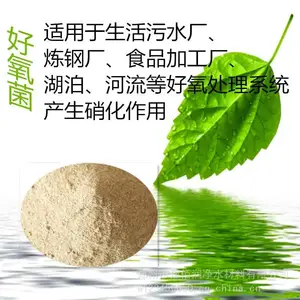 关于硝化菌与反硝化菌种使用范围 应用领域介绍