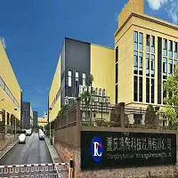 重庆瑞传科技发展有限公司