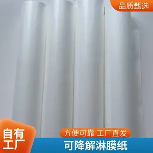 厂家批发白牛皮纸 食品级手提袋专用纸可印刷淋膜单光牛皮