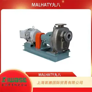 �ձ�ԭװ����MALHATY��ˣ������ܴ�����MA-MA