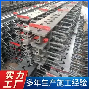 衡水泰立公路桥梁GQF-C40/C60/F80异型钢减震桥梁伸缩缝装置单组式